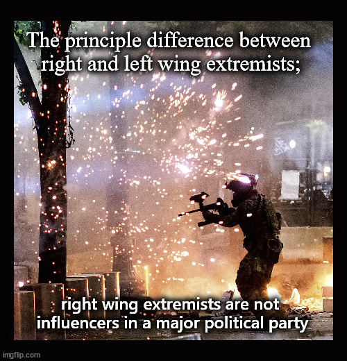 The principle difference between right and left wing extremists ... | The principle difference between 
right and left wing extremists;; right wing extremists are not 
influencers in a major political party | image tagged in political extremism,left wing politics | made w/ Imgflip meme maker