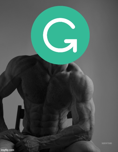 Giga Chad | image tagged in giga chad | made w/ Imgflip meme maker