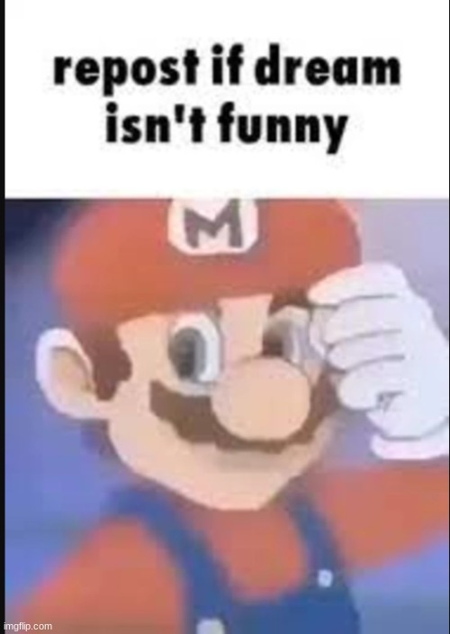 true | image tagged in mario | made w/ Imgflip meme maker