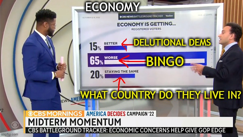 The Useful Idiots -- 35% | ECONOMY; DELUTIONAL DEMS; BINGO; WHAT COUNTRY DO THEY LIVE IN? | image tagged in politics,economy,democrats,leftists,useful idiots,cost of living | made w/ Imgflip meme maker