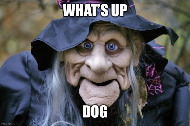 Halloween Witch | WHAT’S UP; DOG | image tagged in halloween witch | made w/ Imgflip meme maker