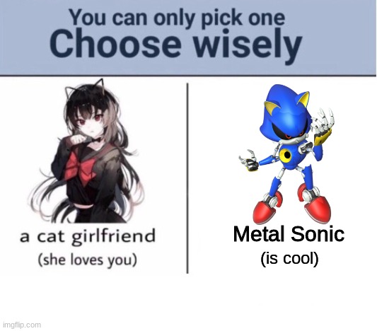 yes | Metal Sonic; (is cool) | image tagged in choose wisely,metal sonic | made w/ Imgflip meme maker