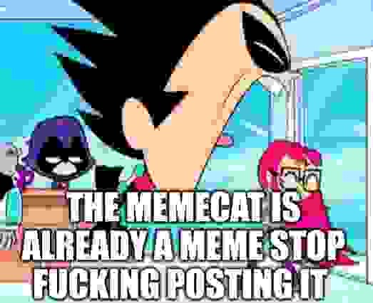 Memecat sucks Blank Meme Template