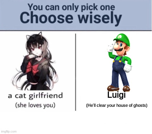 yeah | Luigi; (He'll clear your house of ghosts) | image tagged in choose wisely,luigi | made w/ Imgflip meme maker