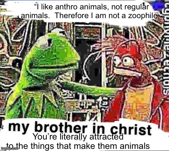 Why don’t you just like humans then? | “I like anthro animals, not regular animals.  Therefore I am not a zoophile.”; You’re literally attracted to the things that make them animals | image tagged in my brother in christ | made w/ Imgflip meme maker
