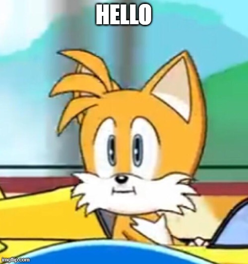 Tails hold up | HELLO | image tagged in tails hold up | made w/ Imgflip meme maker