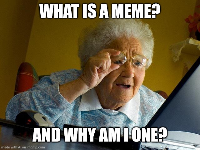 4th wall broken | WHAT IS A MEME? AND WHY AM I ONE? | image tagged in memes,grandma finds the internet | made w/ Imgflip meme maker