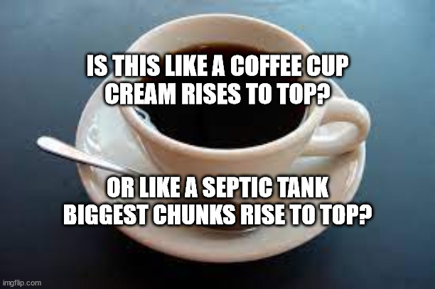  IS THIS LIKE A COFFEE CUP CREAM RISES TO TOP? OR LIKE A SEPTIC TANK BIGGEST CHUNKS RISE TO TOP? | made w/ Imgflip meme maker