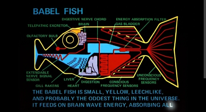 High Quality Fish Blank Meme Template