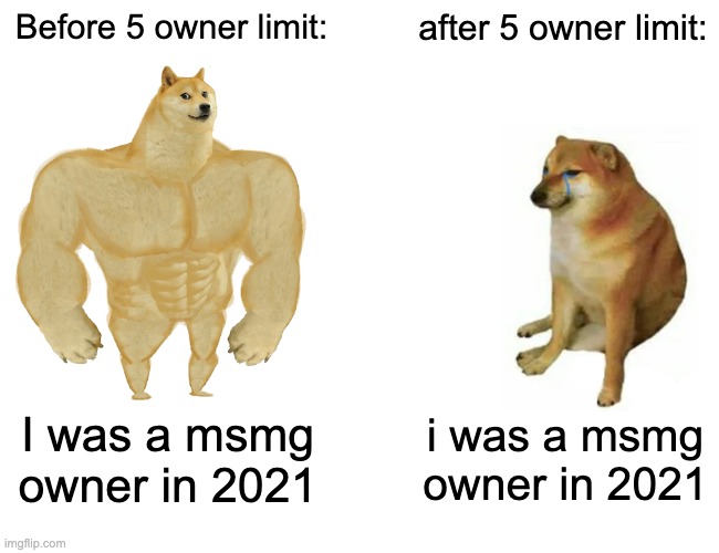 saying you were an owner has really lost its sense of value | Before 5 owner limit:; after 5 owner limit:; I was a msmg owner in 2021; i was a msmg owner in 2021 | image tagged in memes,buff doge vs cheems | made w/ Imgflip meme maker