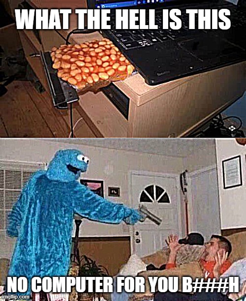 help them | WHAT THE HELL IS THIS; NO COMPUTER FOR YOU B###H | image tagged in cursed cookie monster | made w/ Imgflip meme maker