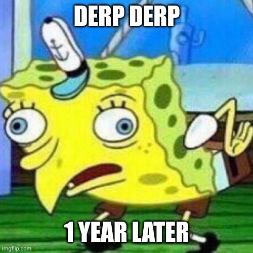 triggerpaul | DERP DERP 1 YEAR LATER | image tagged in triggerpaul | made w/ Imgflip meme maker