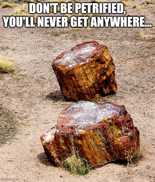 Petrified | DON'T BE PETRIFIED, YOU'LL NEVER GET ANYWHERE... | image tagged in scared,encouragement,nature | made w/ Imgflip meme maker