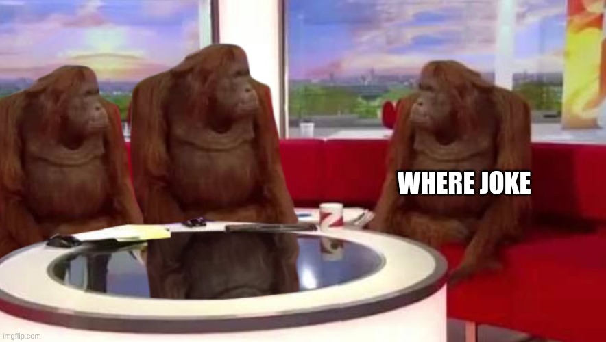 where monkey | WHERE JOKE | image tagged in where monkey | made w/ Imgflip meme maker