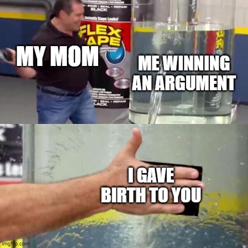Phil Swift Slapping on Flex Tape | MY MOM; ME WINNING AN ARGUMENT; I GAVE BIRTH TO YOU | image tagged in phil swift slapping on flex tape,argument,mom,relatable,meme,funny | made w/ Imgflip meme maker