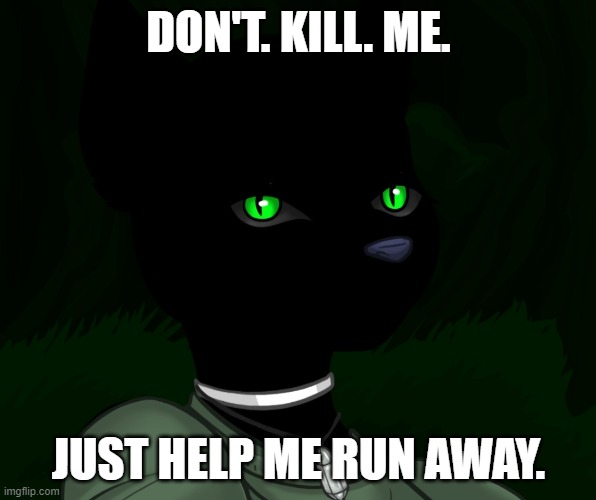 Where. I. Can. Cover up my face. Don't cry i am just a freak. | DON'T. KILL. ME. JUST HELP ME RUN AWAY. | image tagged in my new panther fursona | made w/ Imgflip meme maker