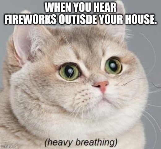 Heavy Breathing Cat | WHEN YOU HEAR FIREWORKS OUTISDE YOUR HOUSE. | image tagged in memes,heavy breathing cat | made w/ Imgflip meme maker