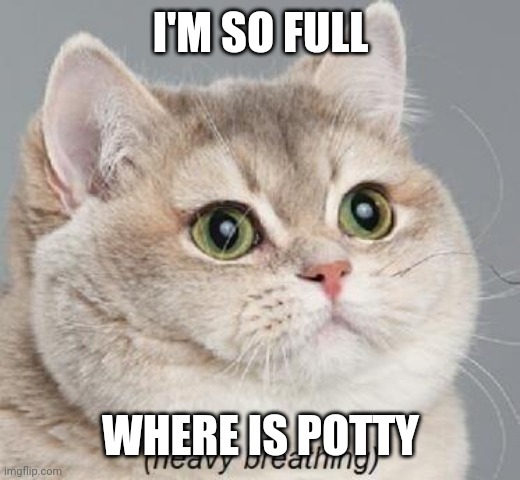 Heavy Breathing Cat | I'M SO FULL; WHERE IS POTTY | image tagged in memes,heavy breathing cat | made w/ Imgflip meme maker