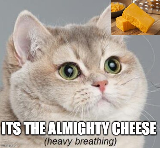 Heavy Breathing Cat | ITS THE ALMIGHTY CHEESE | image tagged in memes,heavy breathing cat | made w/ Imgflip meme maker