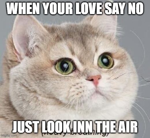 Heavy Breathing Cat Meme | WHEN YOUR LOVE SAY NO; JUST LOOK INN THE AIR | image tagged in memes,heavy breathing cat | made w/ Imgflip meme maker