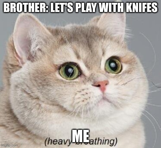 this happens alot | BROTHER: LET'S PLAY WITH KNIFES; ME | image tagged in memes,heavy breathing cat | made w/ Imgflip meme maker