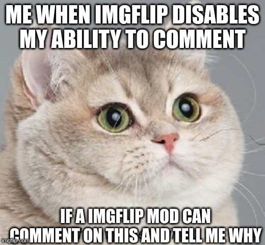 IMGFLIP MODS PLEASE SEE | ME WHEN IMGFLIP DISABLES MY ABILITY TO COMMENT; IF A IMGFLIP MOD CAN COMMENT ON THIS AND TELL ME WHY | image tagged in memes,heavy breathing cat | made w/ Imgflip meme maker