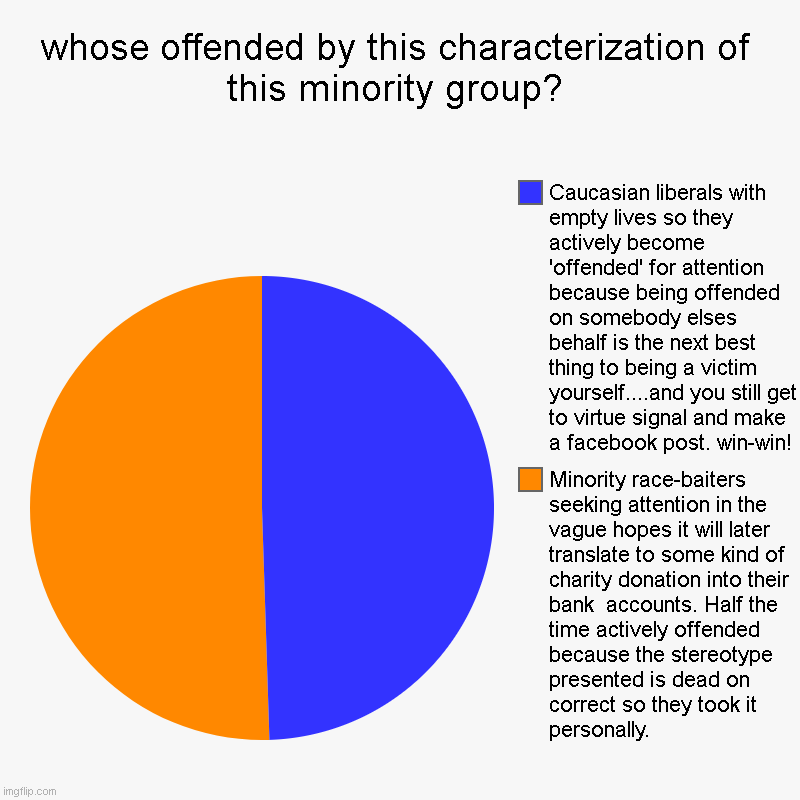 I'm a minority and here's my position on being offended by racial stereotypes | whose offended by this characterization of this minority group? | Minority race-baiters seeking attention in the vague hopes it will later t | image tagged in charts,pie charts | made w/ Imgflip chart maker
