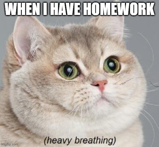I still hate homework | WHEN I HAVE HOMEWORK | image tagged in memes,heavy breathing cat,homework,school,meme,funny | made w/ Imgflip meme maker
