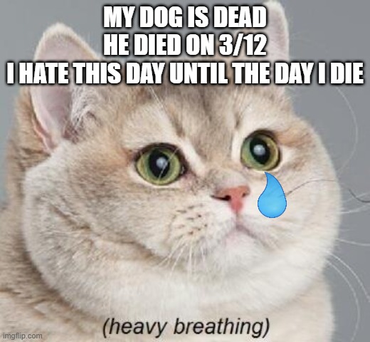 I will be depressed more often on this day. | MY DOG IS DEAD
HE DIED ON 3/12
I HATE THIS DAY UNTIL THE DAY I DIE | image tagged in memes,heavy breathing cat | made w/ Imgflip meme maker