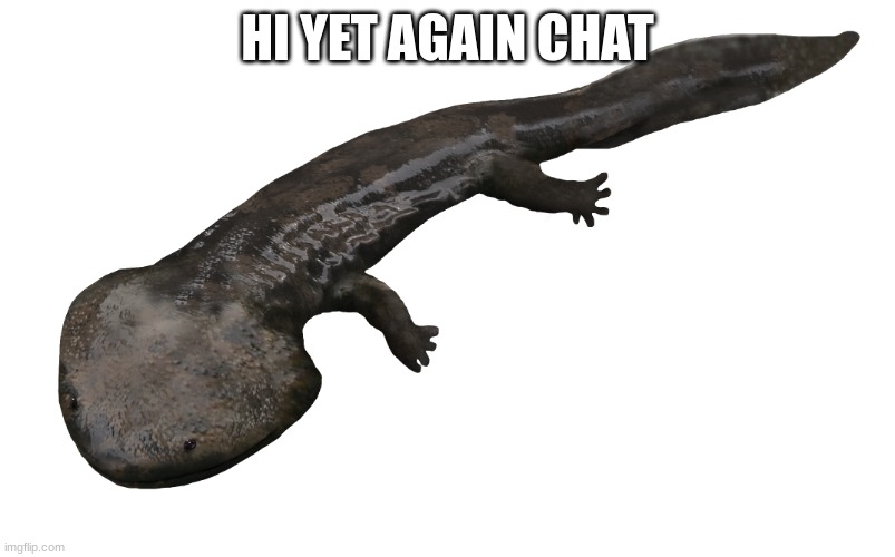 Koolasuchus | HI YET AGAIN CHAT | image tagged in koolasuchus | made w/ Imgflip meme maker