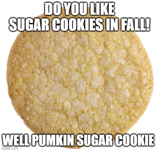 Sugar Cookie | DO YOU LIKE SUGAR COOKIES IN FALL! WELL PUMKIN SUGAR COOKIE | image tagged in sugar cookie | made w/ Imgflip meme maker