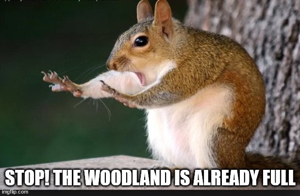 Hold up squirrel | STOP! THE WOODLAND IS ALREADY FULL | image tagged in hold up squirrel | made w/ Imgflip meme maker