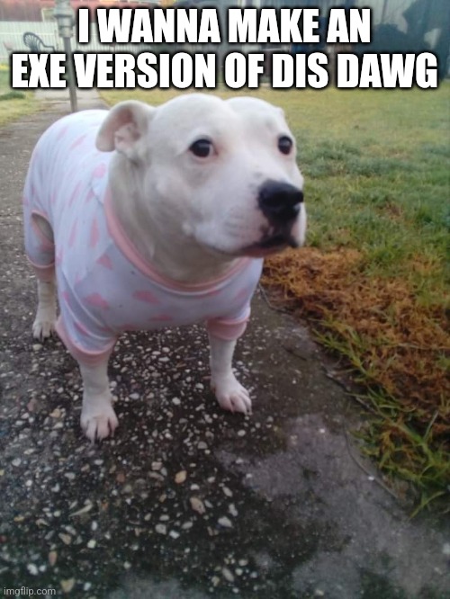 High quality Huh Dog | I WANNA MAKE AN EXE VERSION OF DIS DAWG | image tagged in high quality huh dog | made w/ Imgflip meme maker