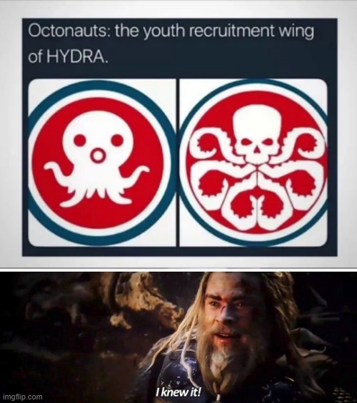 Hail Hydra! | image tagged in i knew it thor | made w/ Imgflip meme maker