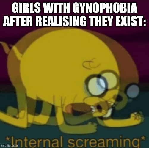 The fear of women |  GIRLS WITH GYNOPHOBIA AFTER REALISING THEY EXIST: | image tagged in jake the dog internal screaming,gynophobia,women,meme,scream,internal screaming | made w/ Imgflip meme maker