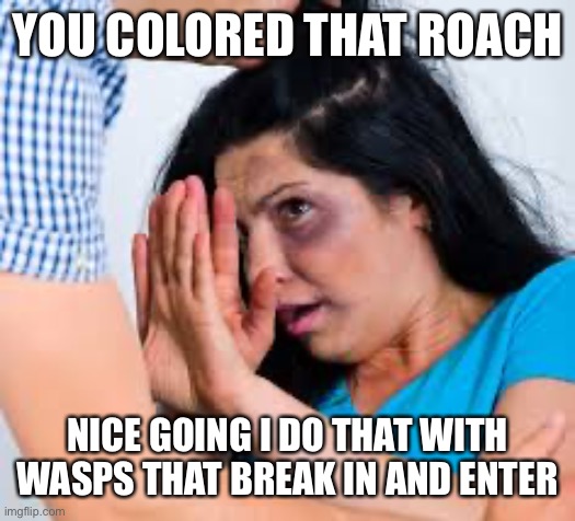 Abused | YOU COLORED THAT ROACH NICE GOING I DO THAT WITH WASPS THAT BREAK IN AND ENTER | image tagged in abused | made w/ Imgflip meme maker