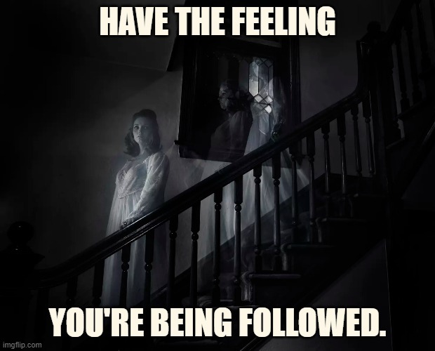When You Just | HAVE THE FEELING; YOU'RE BEING FOLLOWED. | image tagged in memes,fun,halloween,ghosts,follow me,down | made w/ Imgflip meme maker