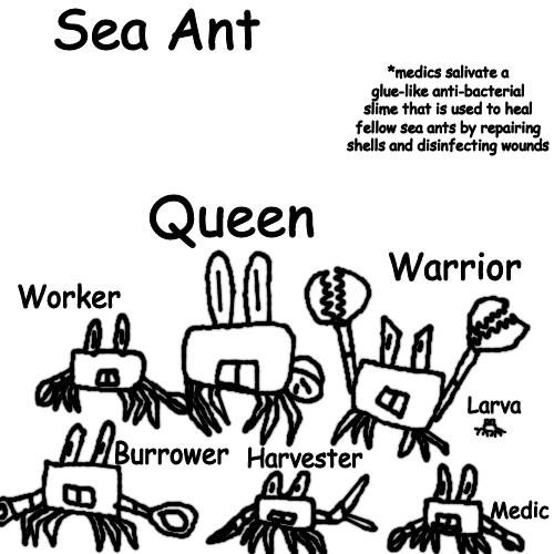 Sea Ants Blank Meme Template