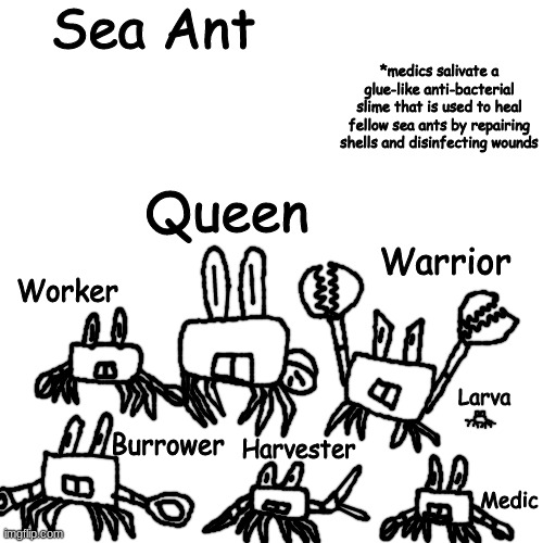 crab <3 | Sea Ant; *medics salivate a glue-like anti-bacterial slime that is used to heal fellow sea ants by repairing shells and disinfecting wounds; Queen; Warrior; Worker; Larva; Harvester; Burrower; Medic | made w/ Imgflip meme maker