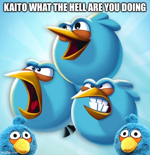 KAITO WHAT THE HELL ARE YOU DOING | made w/ Imgflip meme maker