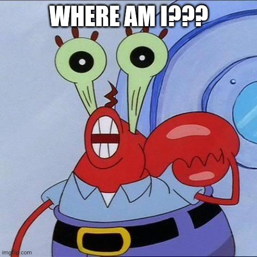 Mr Krabs big eyes | WHERE AM I??? | image tagged in mr krabs big eyes | made w/ Imgflip meme maker