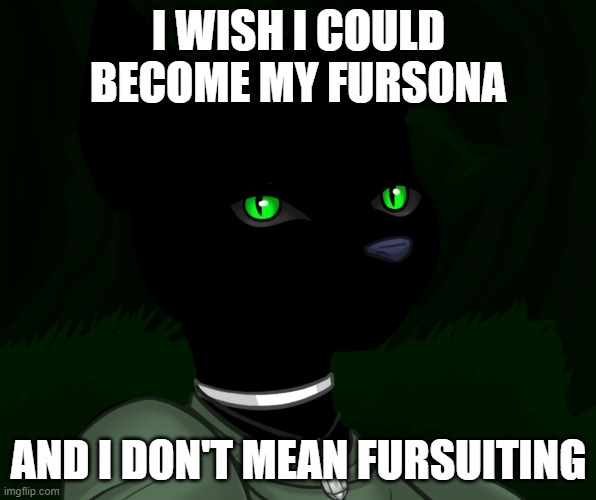 My new panther fursona | I WISH I COULD BECOME MY FURSONA; AND I DON'T MEAN FURSUITING | image tagged in my new panther fursona | made w/ Imgflip meme maker