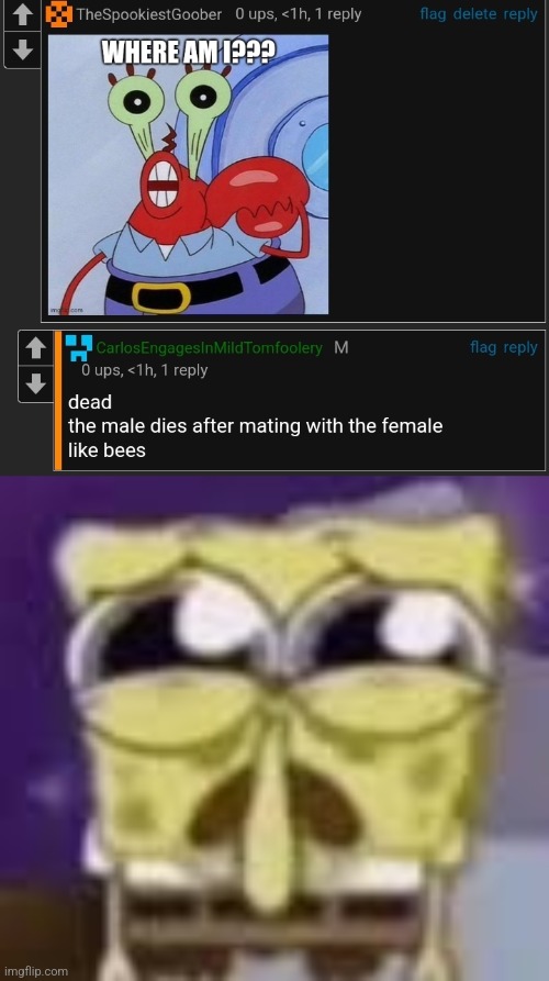 Spinach is zad | made w/ Imgflip meme maker