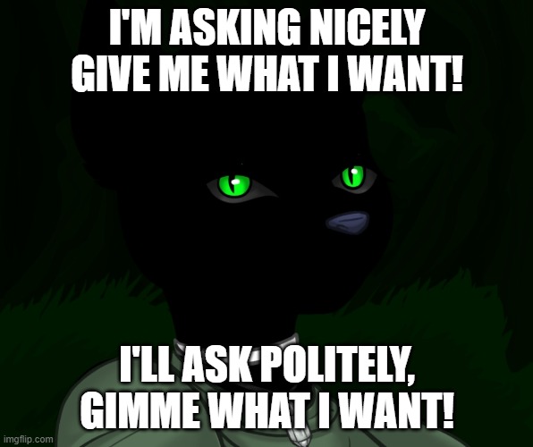 This is a song btw, the song is animal by sir chloe | I'M ASKING NICELY GIVE ME WHAT I WANT! I'LL ASK POLITELY, GIMME WHAT I WANT! | image tagged in my new panther fursona | made w/ Imgflip meme maker
