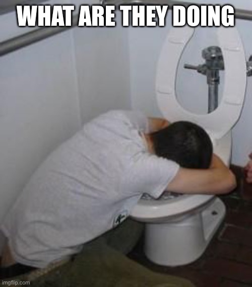 Drunk puking toilet | WHAT ARE THEY DOING | image tagged in drunk puking toilet | made w/ Imgflip meme maker