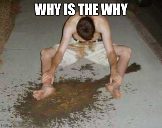 puke | WHY IS THE WHY | image tagged in puke | made w/ Imgflip meme maker