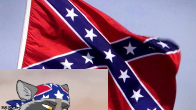 Confederate Flag | image tagged in confederate flag | made w/ Imgflip meme maker