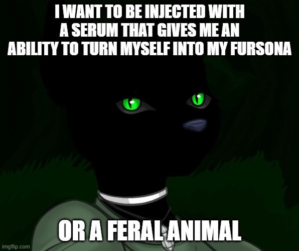 or a werewolf | I WANT TO BE INJECTED WITH A SERUM THAT GIVES ME AN ABILITY TO TURN MYSELF INTO MY FURSONA; OR A FERAL ANIMAL | image tagged in my new panther fursona | made w/ Imgflip meme maker