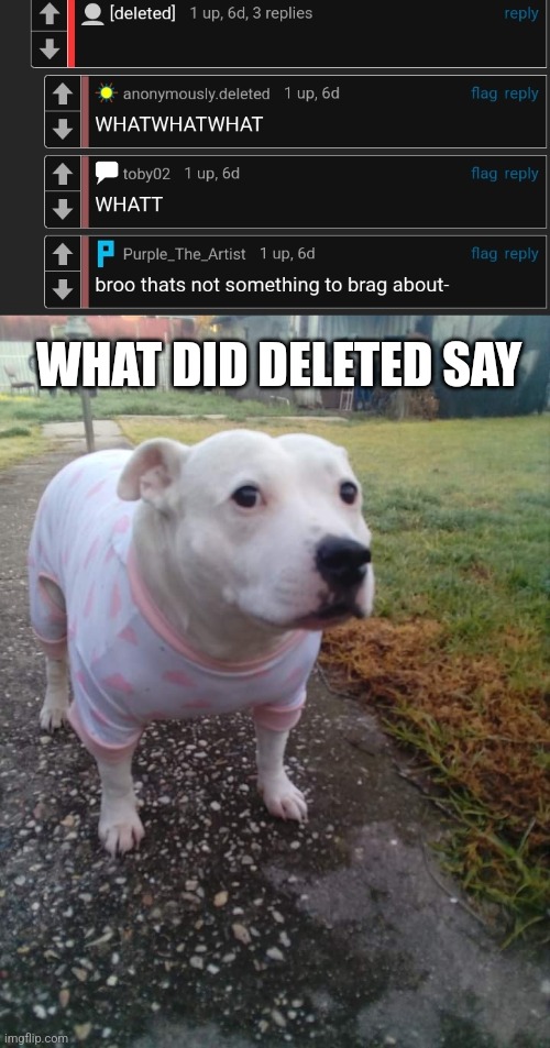 WHAT DID DELETED SAY | image tagged in high quality huh dog | made w/ Imgflip meme maker