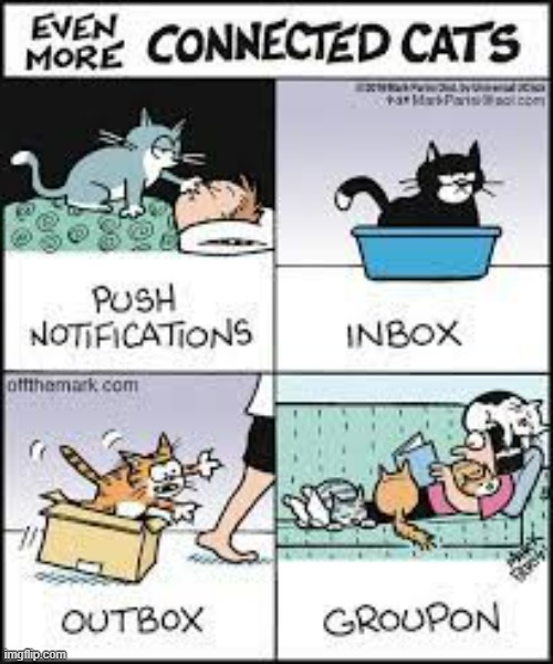 image tagged in memes,comics,cats,computer,connection,terms and conditions | made w/ Imgflip meme maker